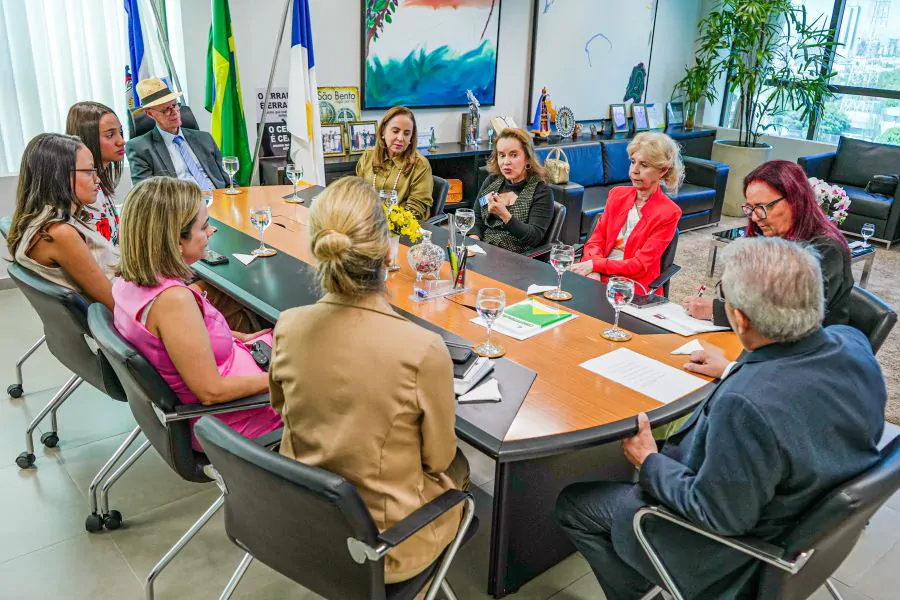 TJTO busca parceria do TCETO para fortalecer o projeto Maria nas Comunidades